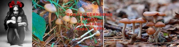 альфа пвп Навашино
