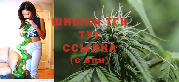 прущий лед Надым