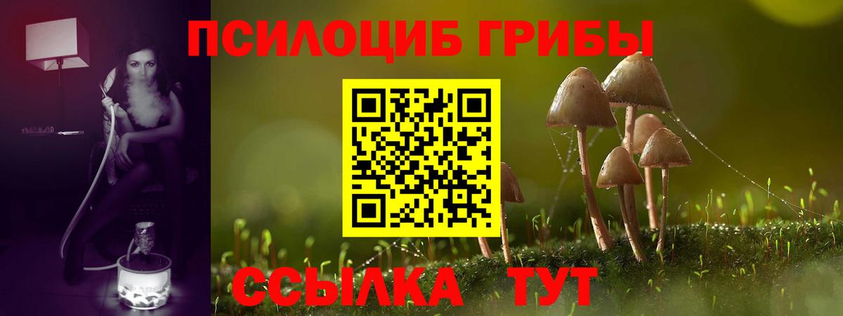 Псилоцибиновые грибы GOLDEN TEACHER  наркота  Коломна 